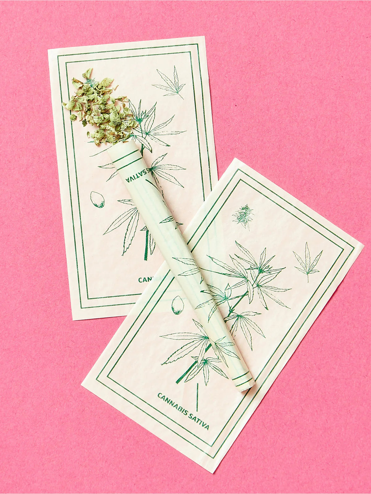 Botanical Cones